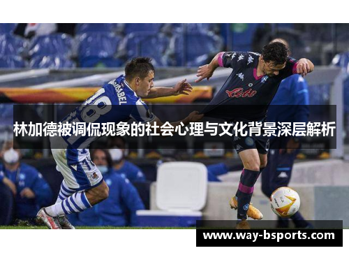 林加德被调侃现象的社会心理与文化背景深层解析