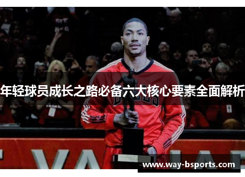 年轻球员成长之路必备六大核心要素全面解析 年轻球员成长之路必备六大核心要素全面解析