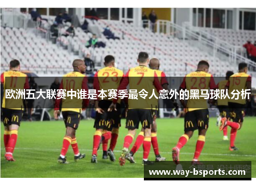 欧洲五大联赛中谁是本赛季最令人意外的黑马球队分析 欧洲五大联赛中谁是本赛季最令人意外的黑马球队分析