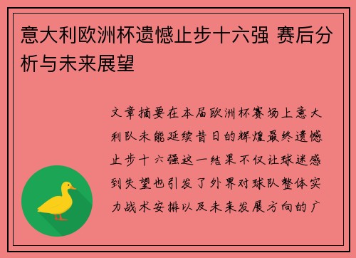 意大利欧洲杯遗憾止步十六强 赛后分析与未来展望 意大利欧洲杯遗憾止步十六强 赛后分析与未来展望